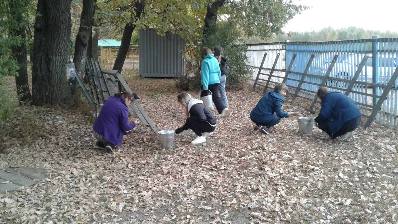 Саратовских школьников приглашают поучаствовать в акции по сбору желудей